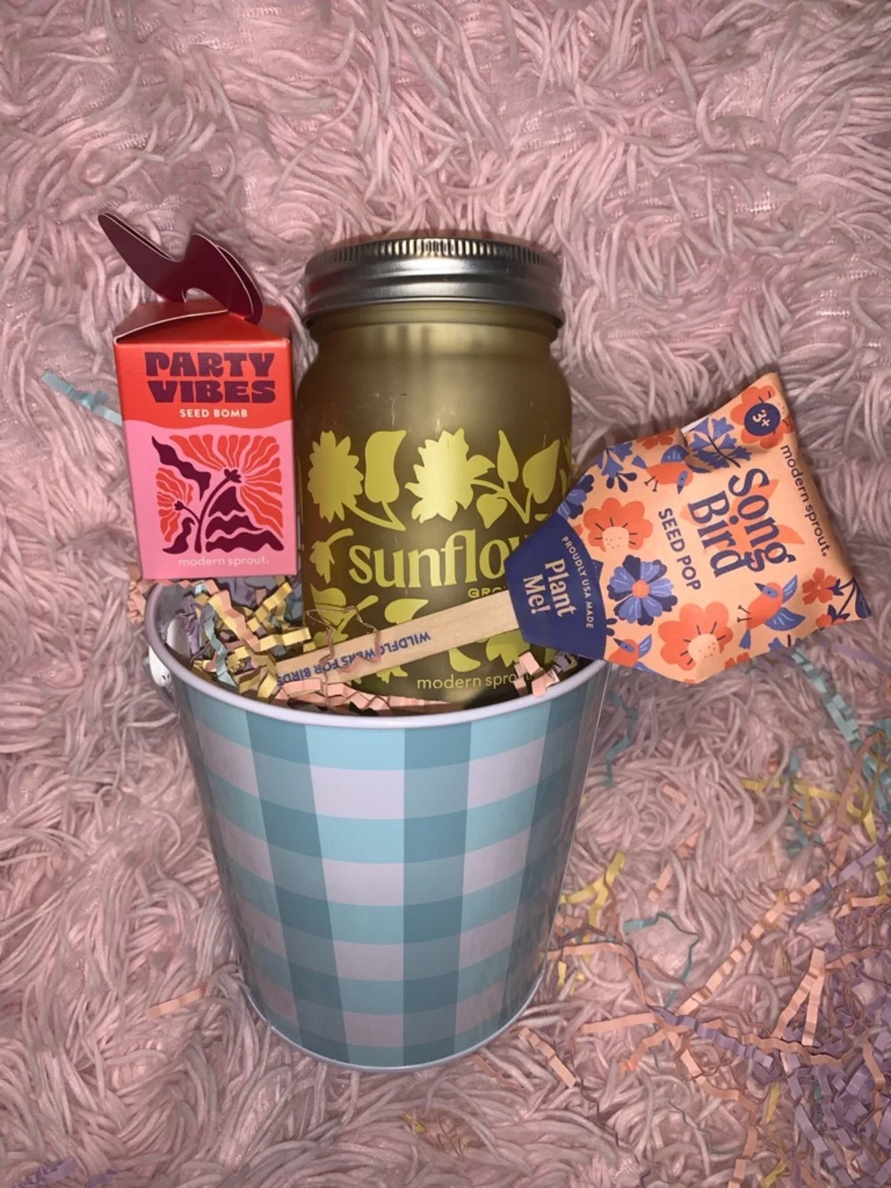 Sunflower grow kit seed key bundle
